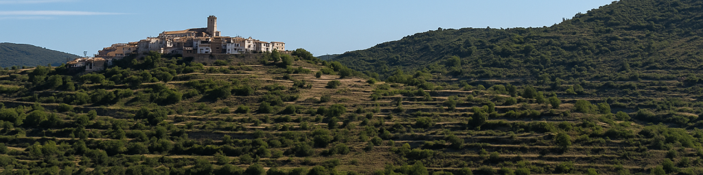 rehabita linkedin banner 1584x396